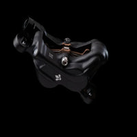 Formula EMoto Brakes