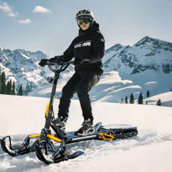 E-Sled