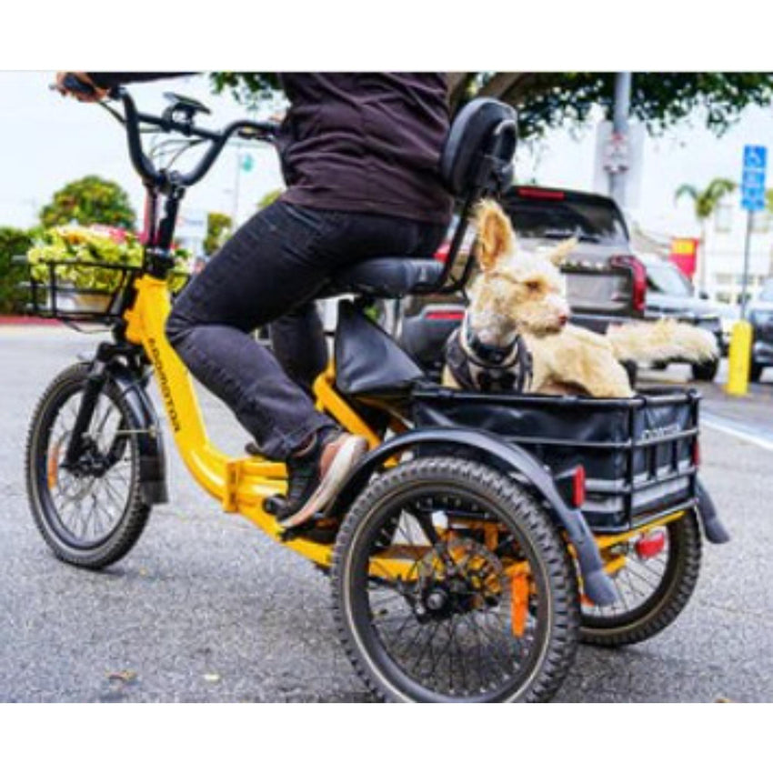 Addmotor Citytri E310 – The Ultimate Folding Electric Trike