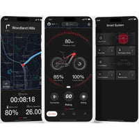 VanPowers GrandTeton Pro – Hub Motor All Terrain Fat Tire E-Bike