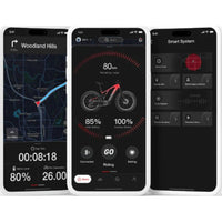 VanPowers UrbanGlide Ultra – Mid Drive E-Bike