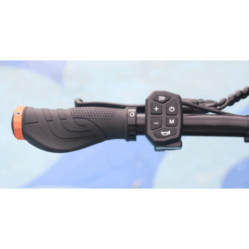 Freego C10 Pro Landtiger – Dual Motor Foldable Electric Scooter