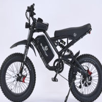 GhostCat F4X – 60V High Performance All Terrain Electric Bike