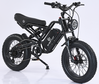 GhostCat F3 - 750W Hub Motor