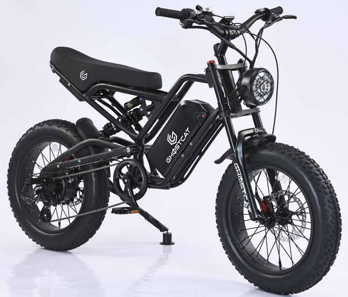 GhostCat F3 - 750W Hub Motor