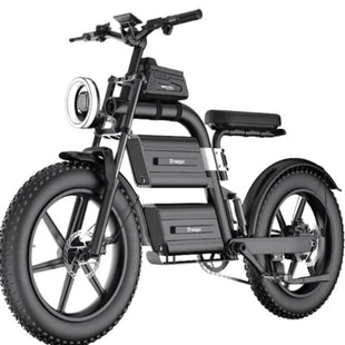 Freego E20 Fat Tire
