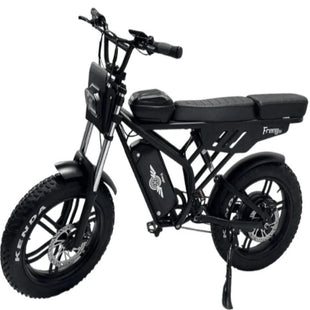 Freego F2 Pro Max Prime Passenger – Dual Seat E Bike