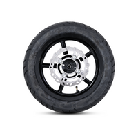 Valtinsu EM-5 street tire wheel with brake rotor, front view