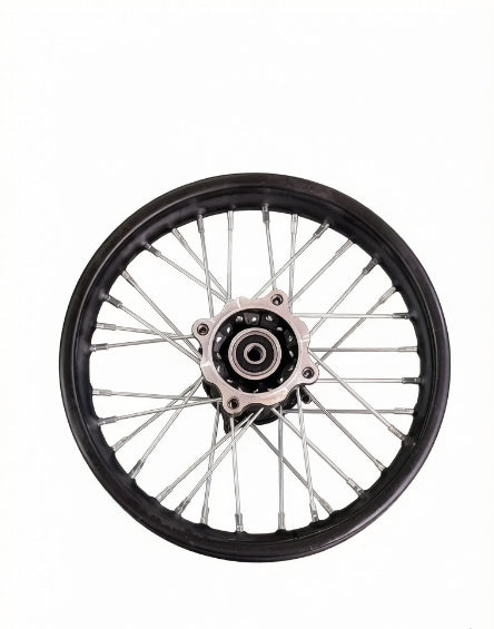 Valtinsu EM-5 rear spoked wheel rim and hub without tire