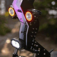 Freego D11 Landtiger - Dual Motor Electric Scooter