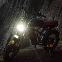 Freego Flash F3 Pro Dual Motor