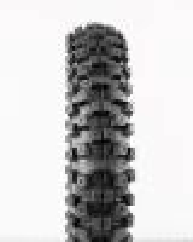ProTaper MXT 04 Tire – 70/100-17