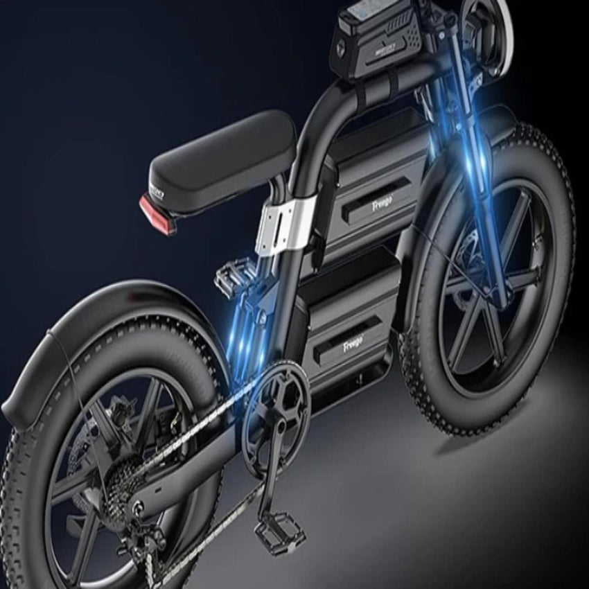 Freego E20 Fat Tire