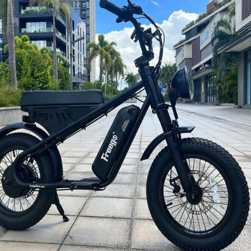 Freego Mini - Moped Style Youth Bike