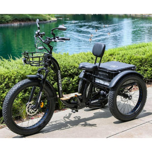 Addmotor Grandtan M340 – The Ultimate Fat Tire Electric Trike