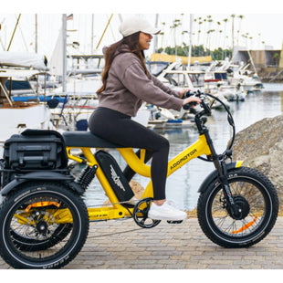 Addmotor Soletri II M366X – Full Suspension Electric Trike