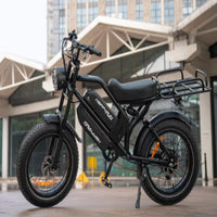 HappyRun G70 - 48V, Passenger/Cargo