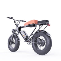 Freego DK200 fat tire e-bike, rear three-quarter view