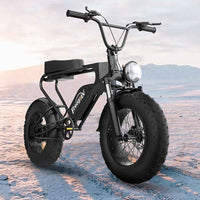 Freego DK200 fat tire e-bike parked on a beach at dusk