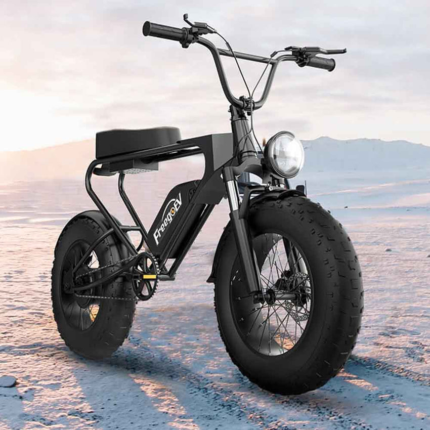 Freego DK200 fat tire e-bike parked on a beach at dusk