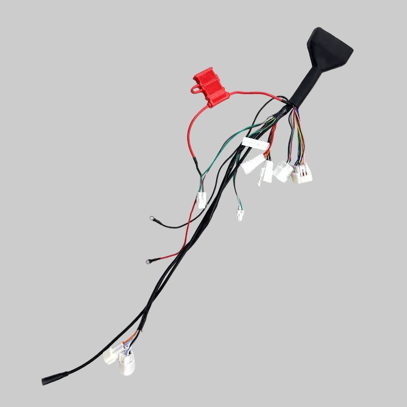 Valtinsu EM-5 controller wiring harness with connectors