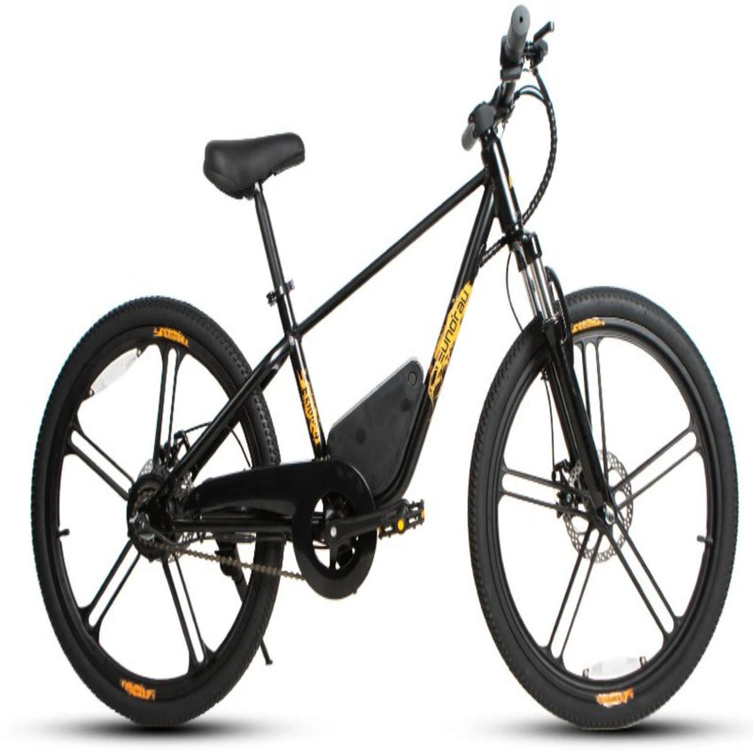 Eunorau EKids 24 electric bike cockpit and display detail – easy controls for kids
