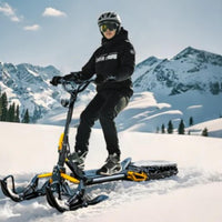 Eunorau ICEX electric snow machine cockpit and controls detail