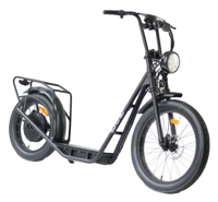 Eunorau Jumbo 1000W fat tire stand-up e-bike side detail view – adventure ebike at BHive Moto Shop