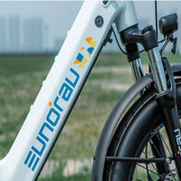 Eunorau Meta Foldable e-bike integrated battery and frame close-up