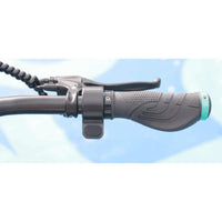 Freego C10 foldable electric scooter full profile view – buy at BHive Moto Shop West Jordan Utah