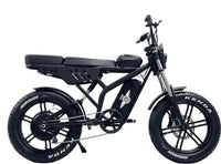 Freego F2 Pro Max Prime dual seat e-bike rear view showing passenger seat and tail section