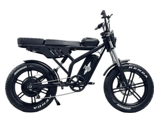 Freego F2 Pro Max Prime dual seat e-bike rear view showing passenger seat and tail section
