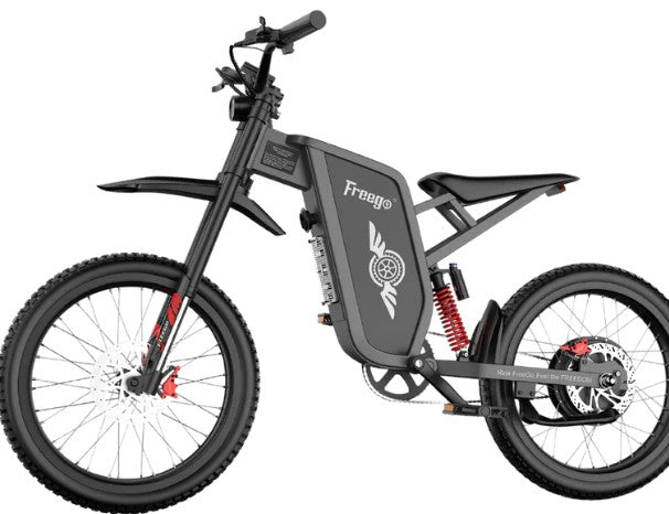 Freego X1 Series Class II III ebike cockpit display and handlebar controls