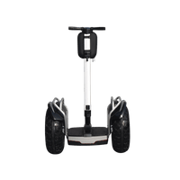 Freego X60 Plus in silver, rear view showing wide off-road tires and handlebar bag