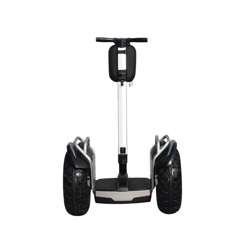 Freego X60 Plus in silver, rear view showing wide off-road tires and handlebar bag