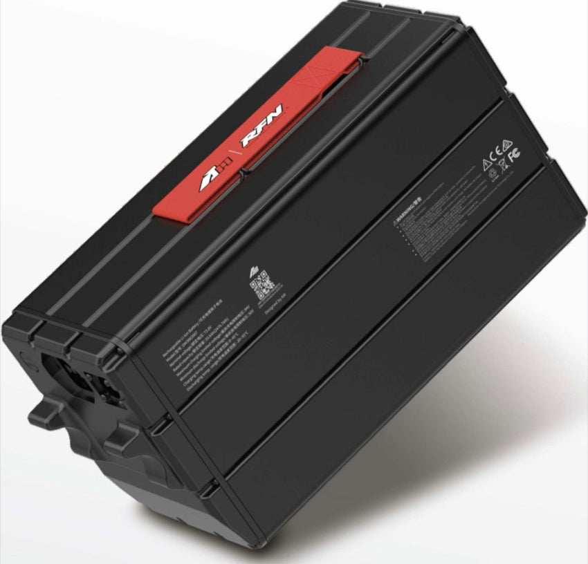 74 Volt 40 Ah Battery for RFN Warrior PRO SX-E15 & SX-E15 Plus