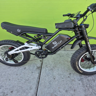 1500W fat tire electric bike, full suspension