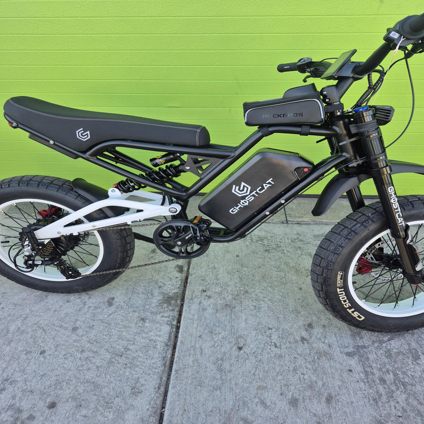 1500W fat tire electric bike, full suspension