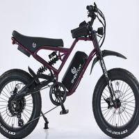 Pro fat tire e-bike frame and paint