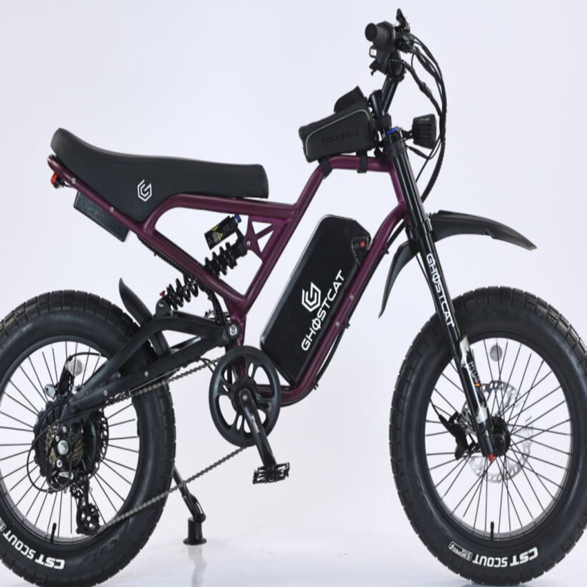 Pro fat tire e-bike frame and paint