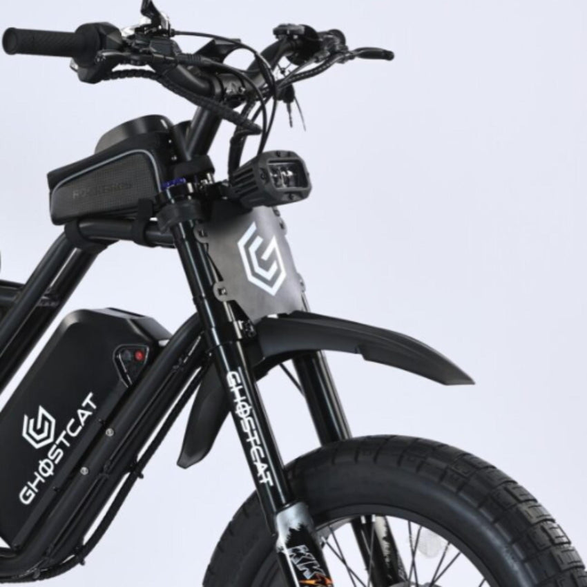 1500W brushless motor, fat tire electric mountain bike