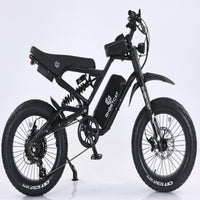 1500W Pro fat tire e-bike, full suspension off-road