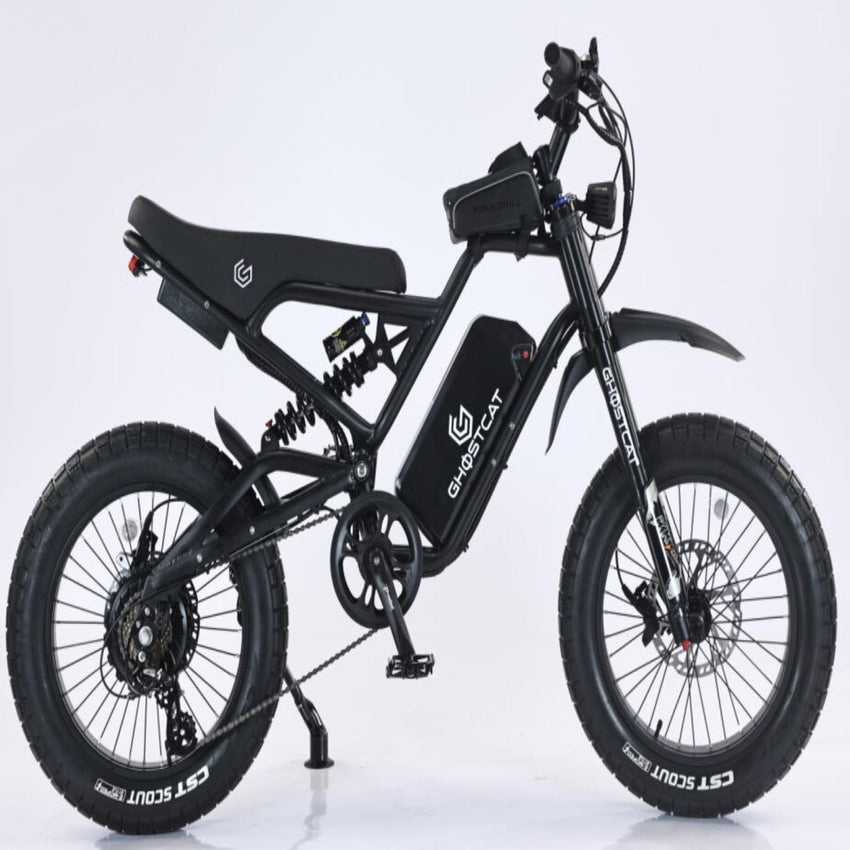 1500W Pro fat tire e-bike, full suspension off-road