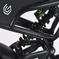 California compliant electric bike, 48V 750W motor