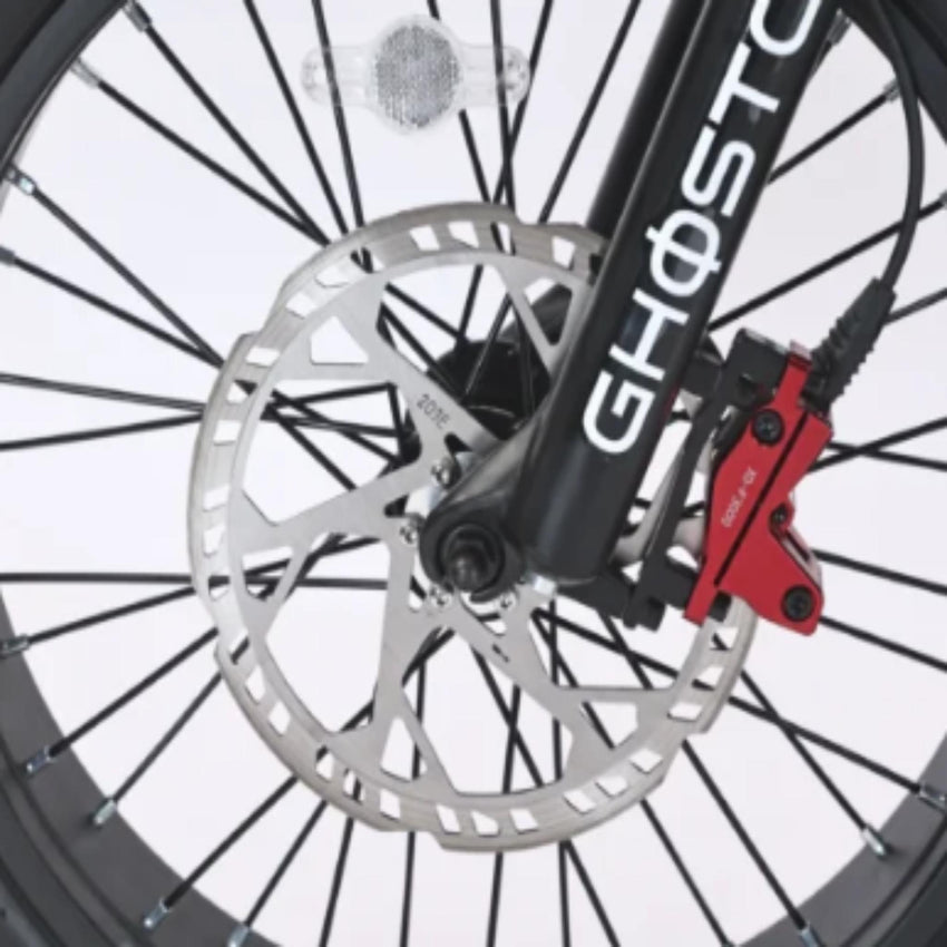 handlebar controls and digital display, Class II e-bike