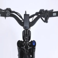 premium paint and build quality, all-terrain electric bike