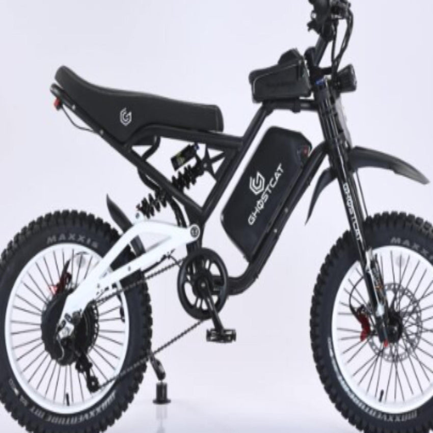 premium suspension on 2200W all-terrain e-bike