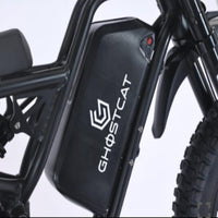 advanced full suspension on 60V 2200W electric bike