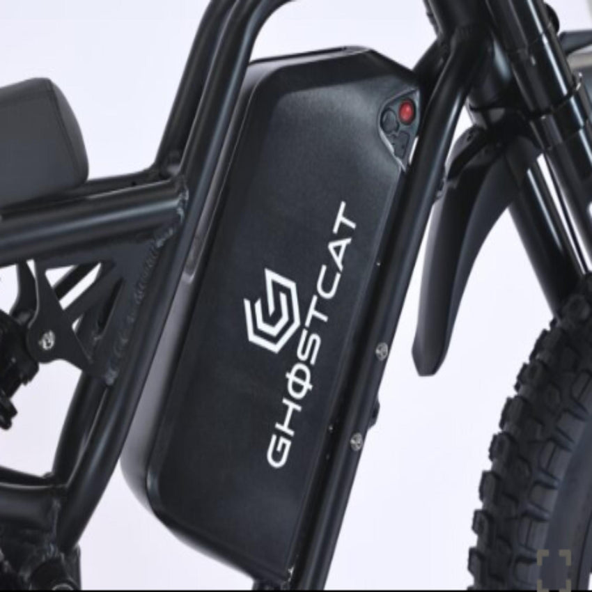 advanced full suspension on 60V 2200W electric bike
