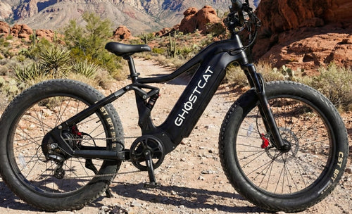 fat tire electric mountain bike, full suspension e-MTB
